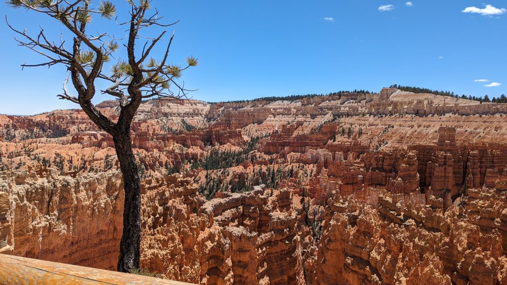 Bryce