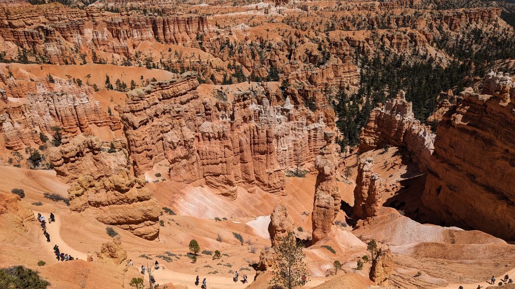Navajo Loop Trail