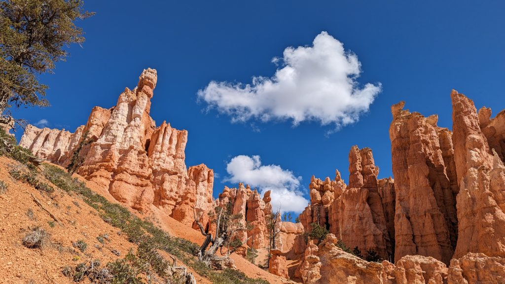 Looking up at hoodoos