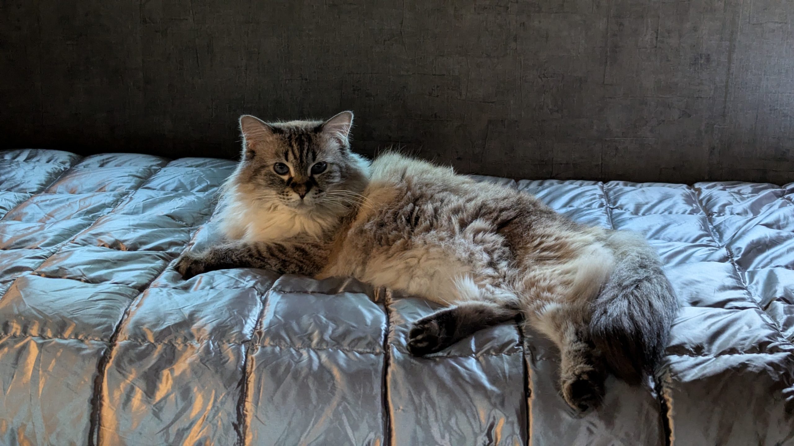 Sophie